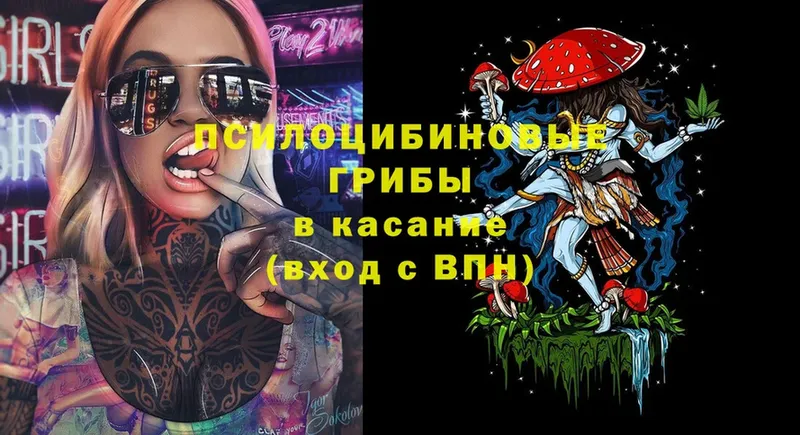 Галлюциногенные грибы Cubensis  Гулькевичи 